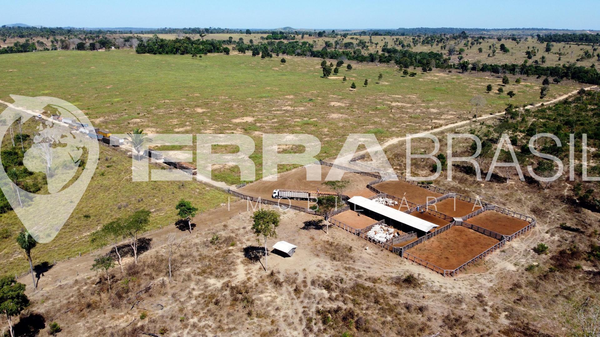 Fazenda à venda, 556,00 Alqueires, Zona Rural, JI-PARANA - RO