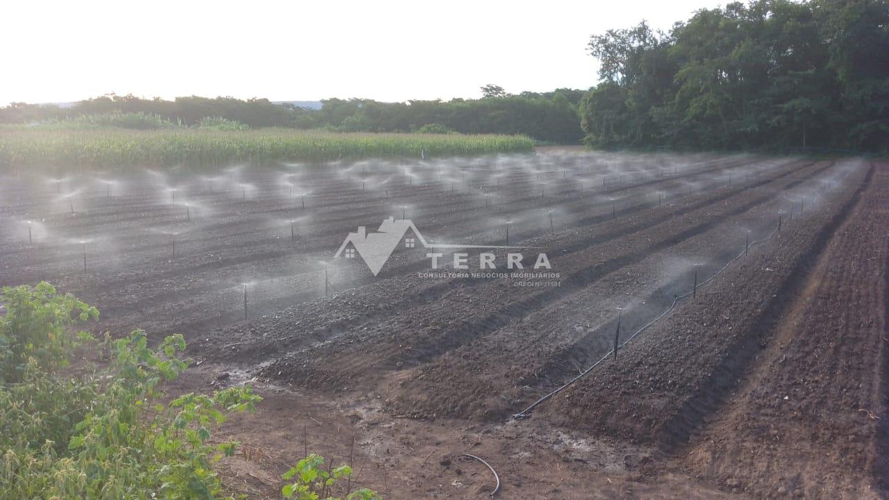 Vende-se uma Fazenda no Povoado da Nanica no fundo da Fabrica de Salgadinho Barreiras-BA