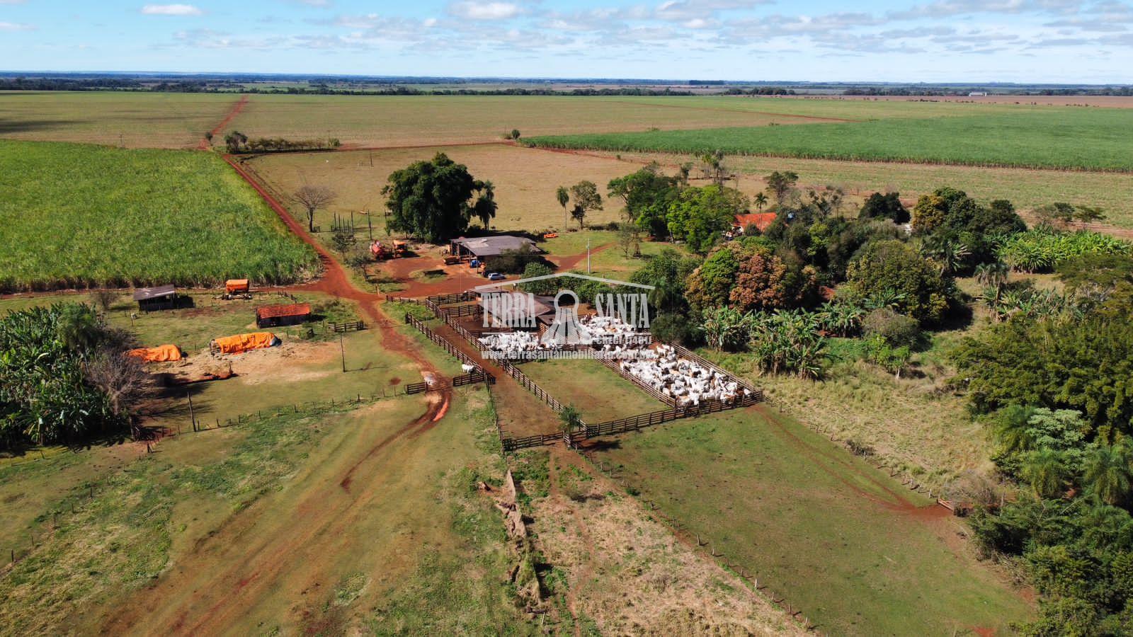 Área Rural à venda, com estrutura no município de DOURADOS - MS