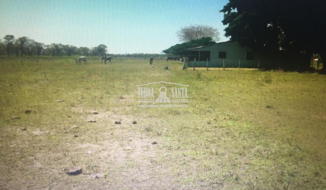 Área Rural à venda, no Pantanal, município de CORUMBA - MS