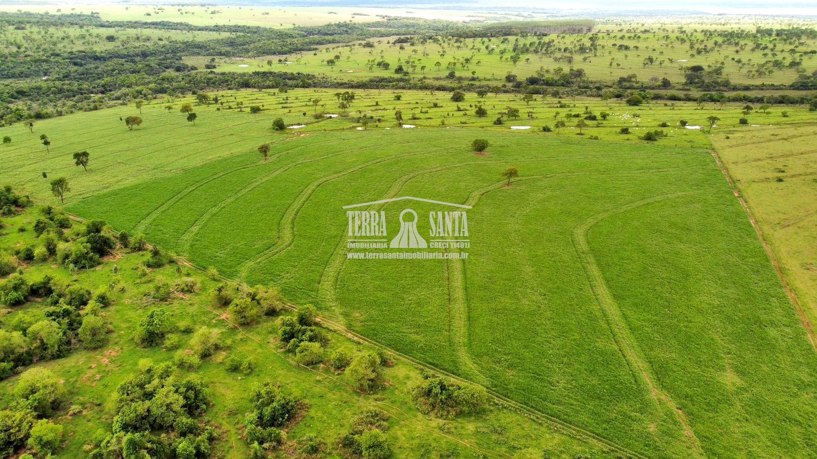 ?rea Rural para Venda na cidade de Jut?- MS.