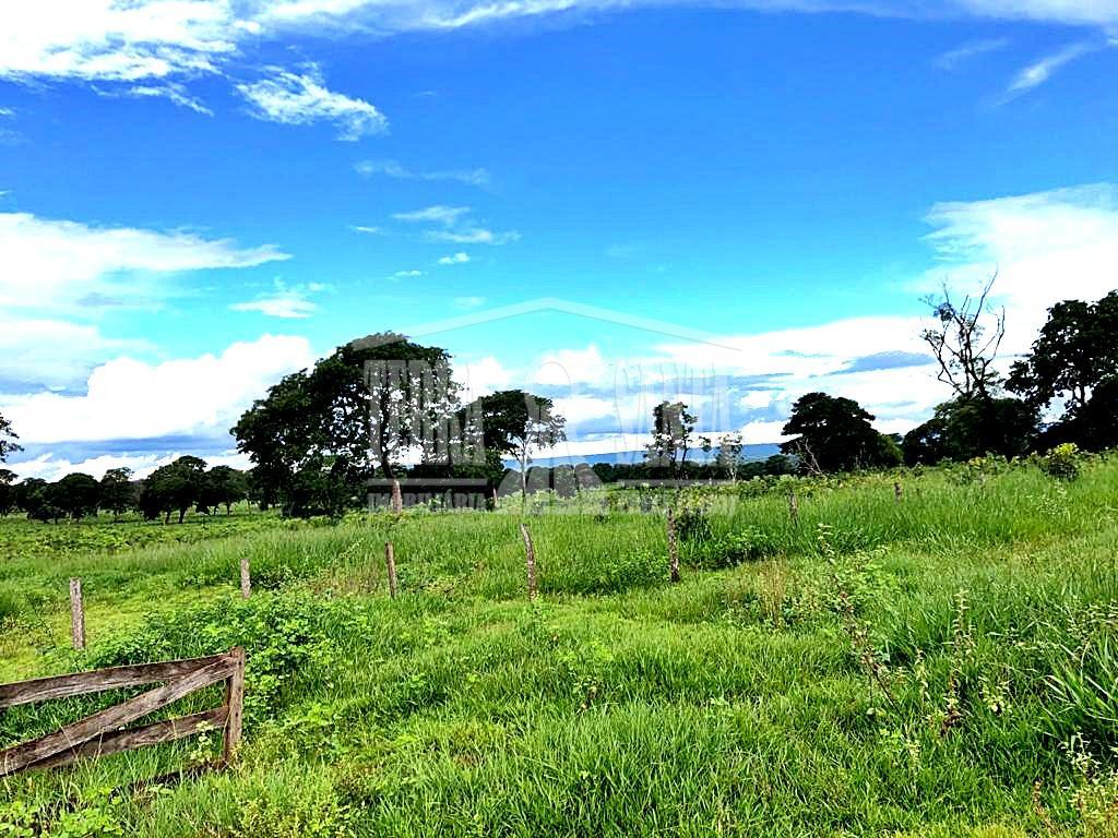 Área Rural para Venda em Nioaque / MS no bairro Rural