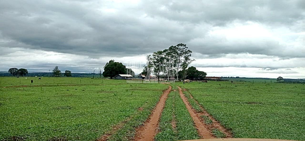 Área Rural para Venda em Amambaí / MS no bairro Rural