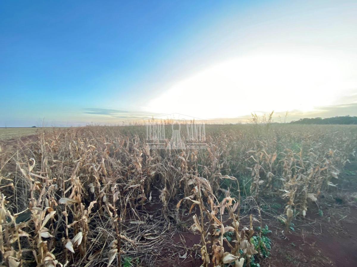 Área Rural para Venda em Dourados / MS no bairro Rural