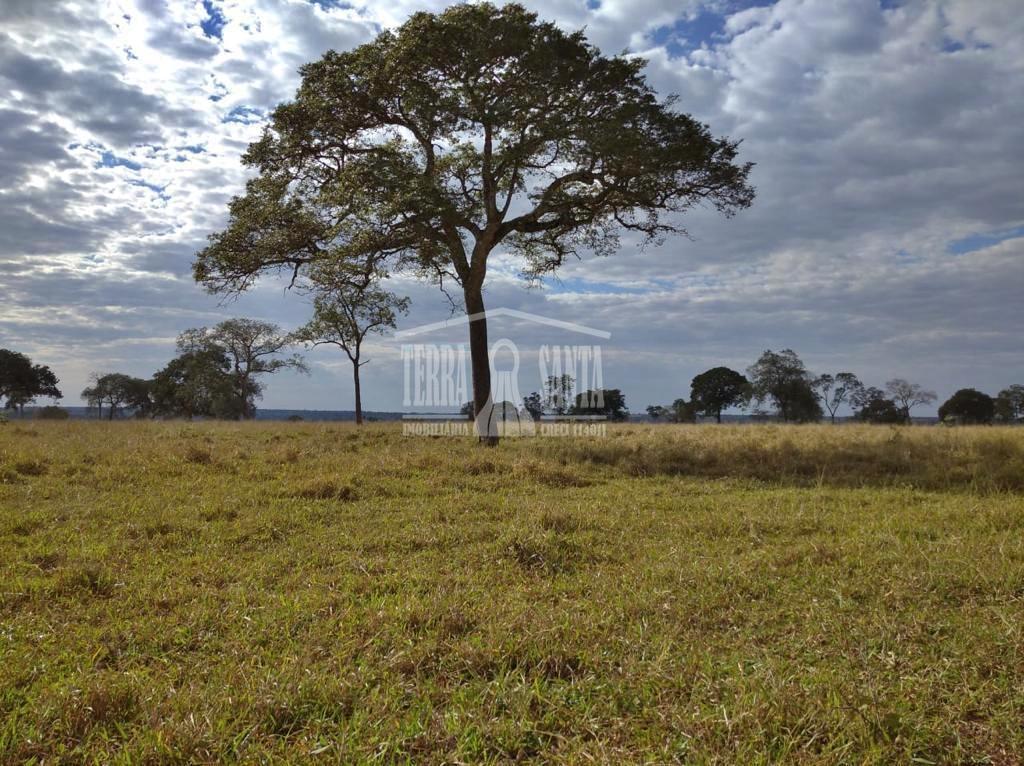 Área Rural para Venda em Nioaque / MS no bairro Rural