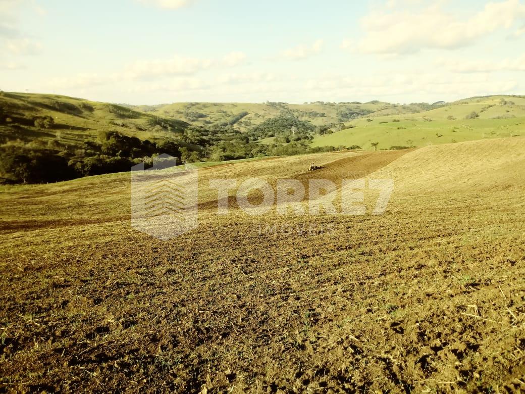 EXCELENTE PROPRIEDADE COM  80 HECTARES, EM PALMITAL, TOTALMENTE APROVEITADA COM