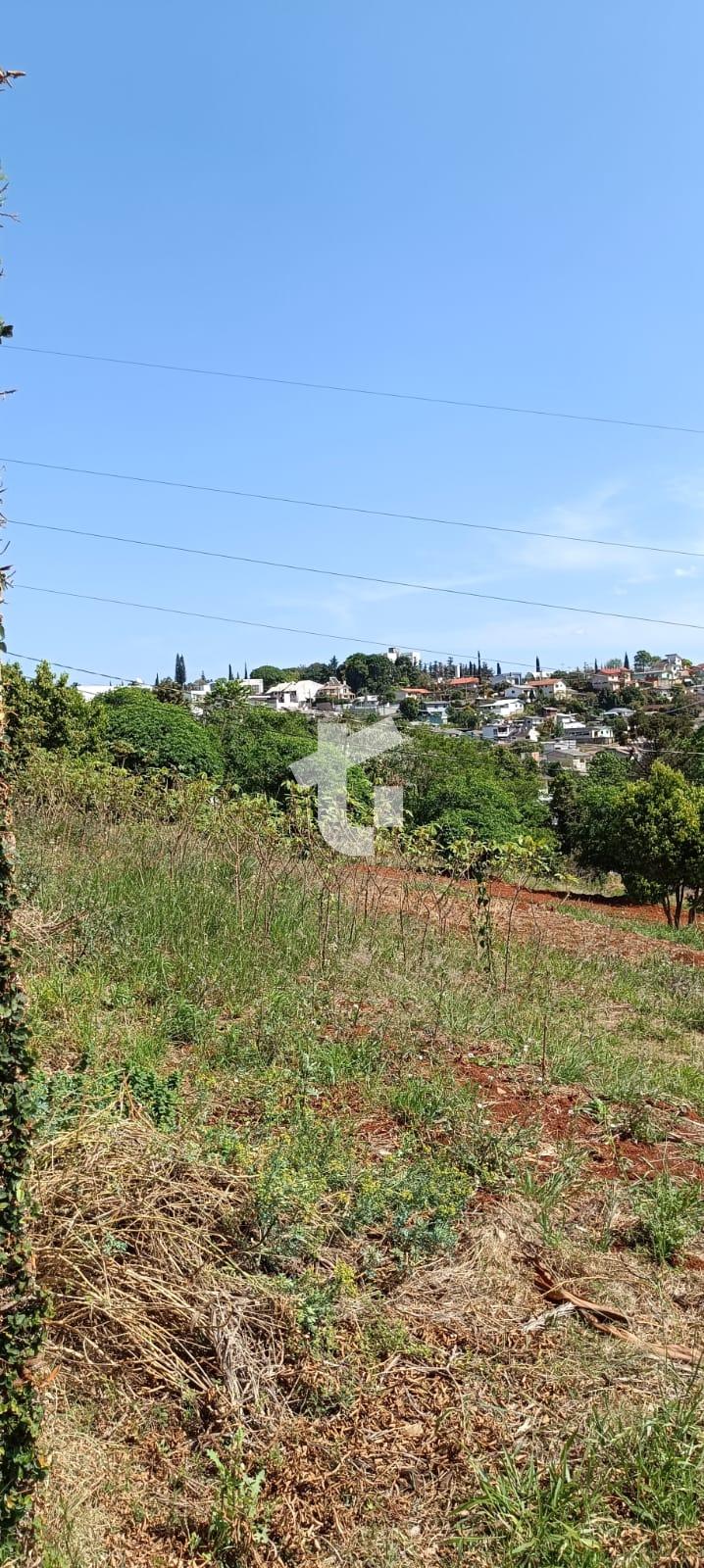 TERRENO COM DUAS FRENTES À VENDA NO BAIRRO VILA IZABEL EM PATO...