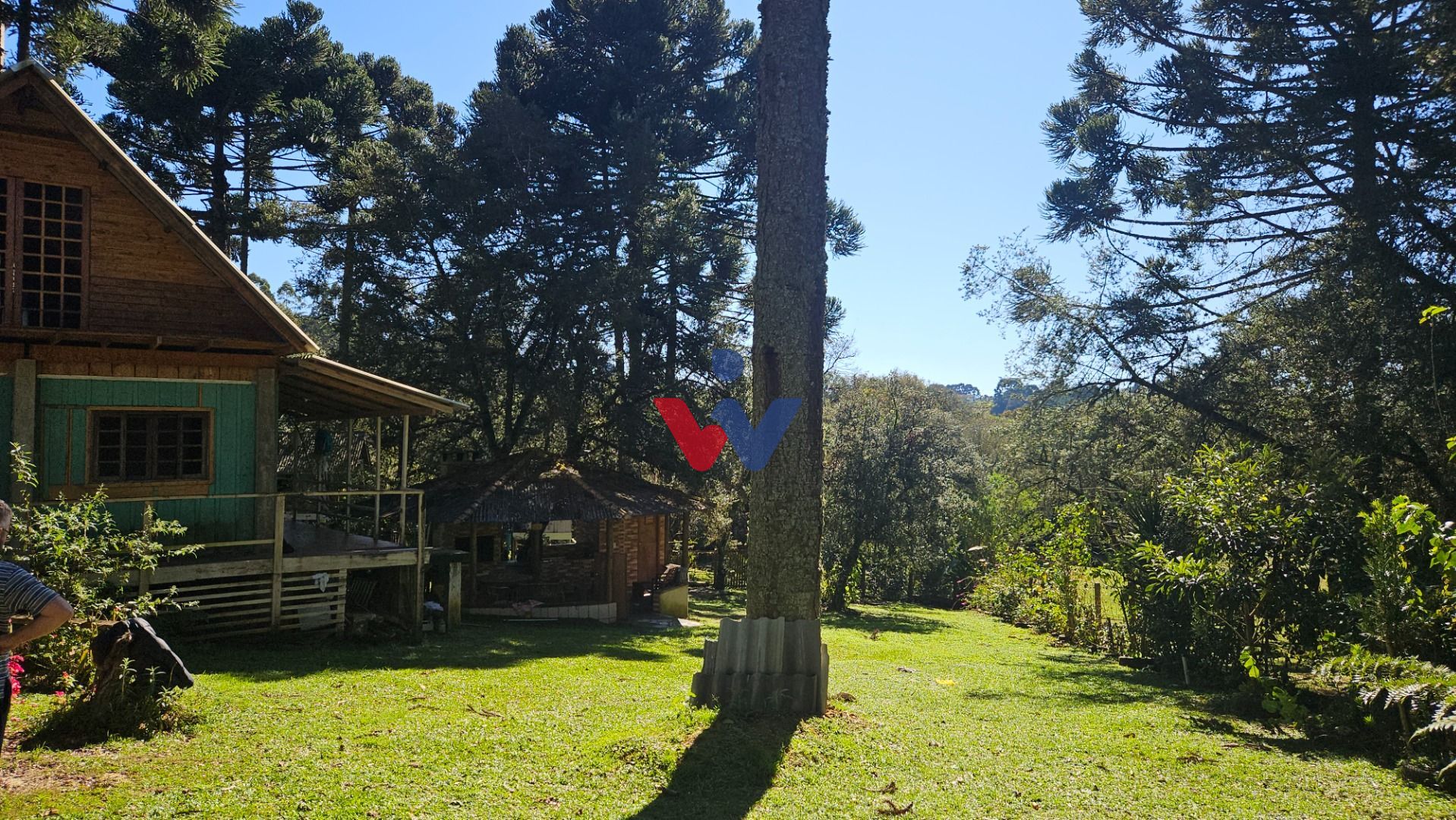 Chácara com 4 dormitórios à venda, 3400 m  por R  394.000 -Col...