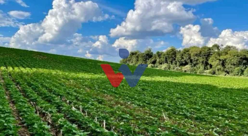 Chácara à venda, 23600 m  por R  649.000,00 - Barigui - Araucá...