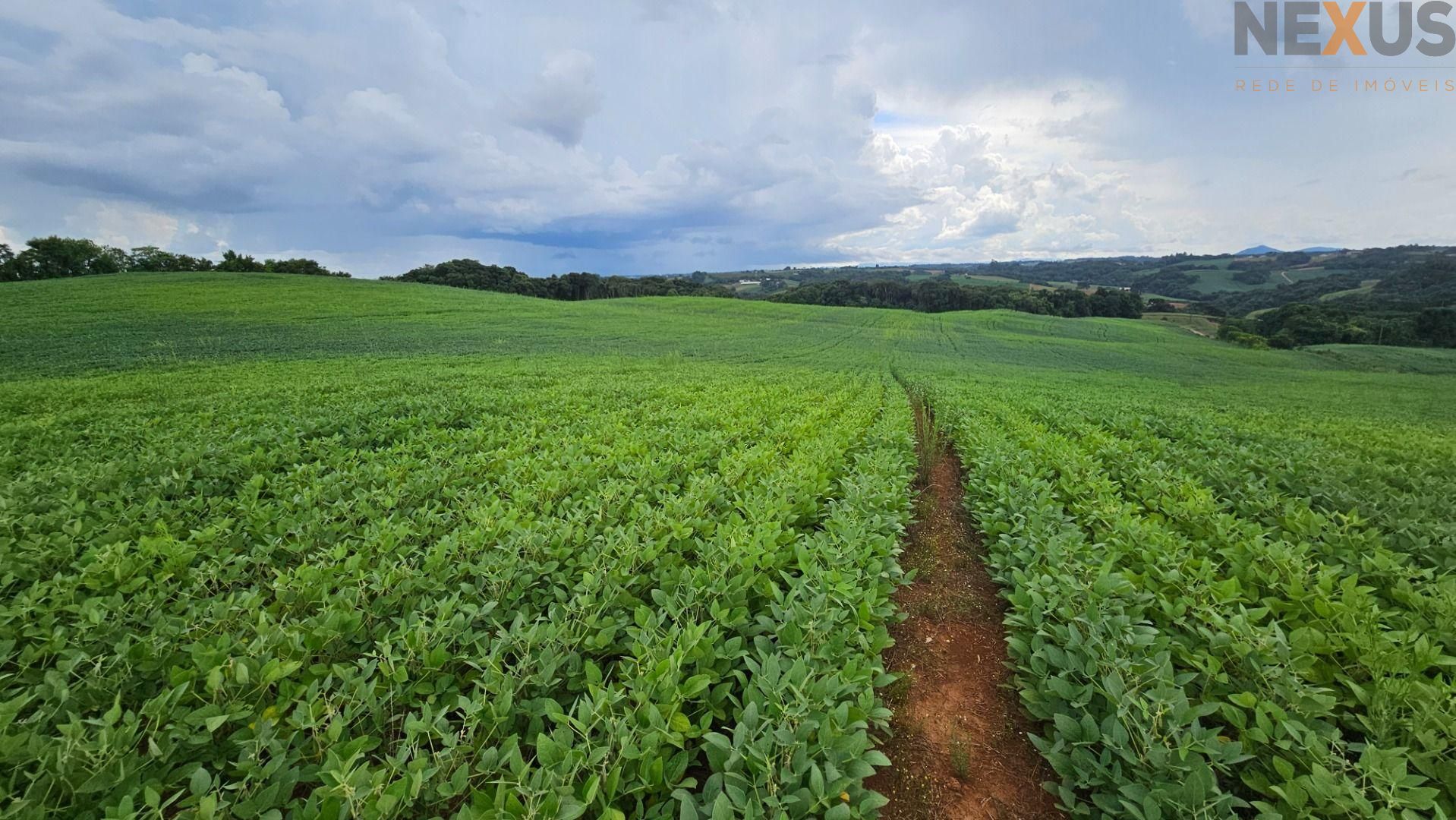 Área Rural com 330330m  13,65 Alqueires  à venda, CAMPO MAGRO ...