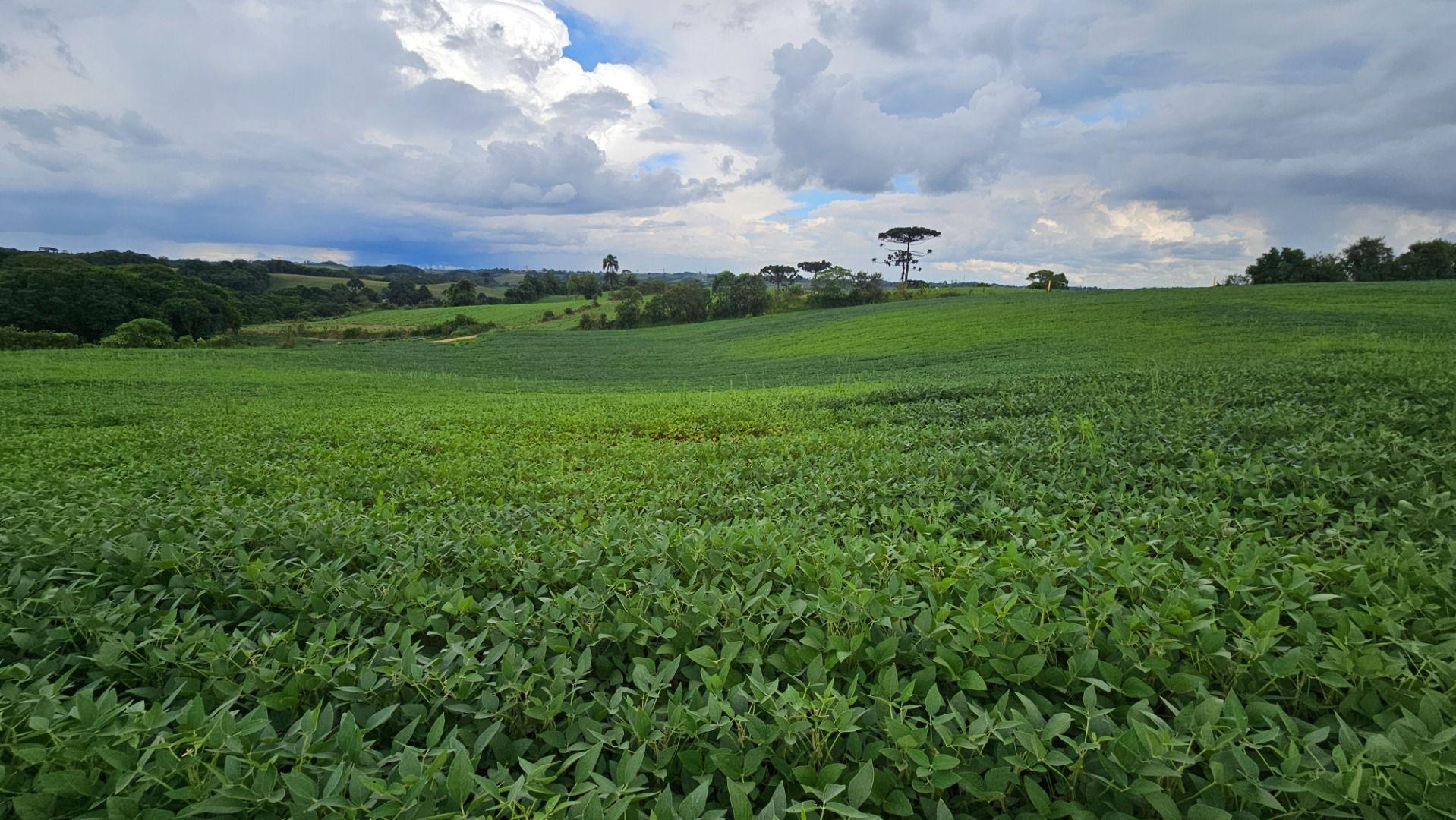 Terreno ? venda,432.00 m , guatup?, SAO JOSE DOS PINHAIS - PR