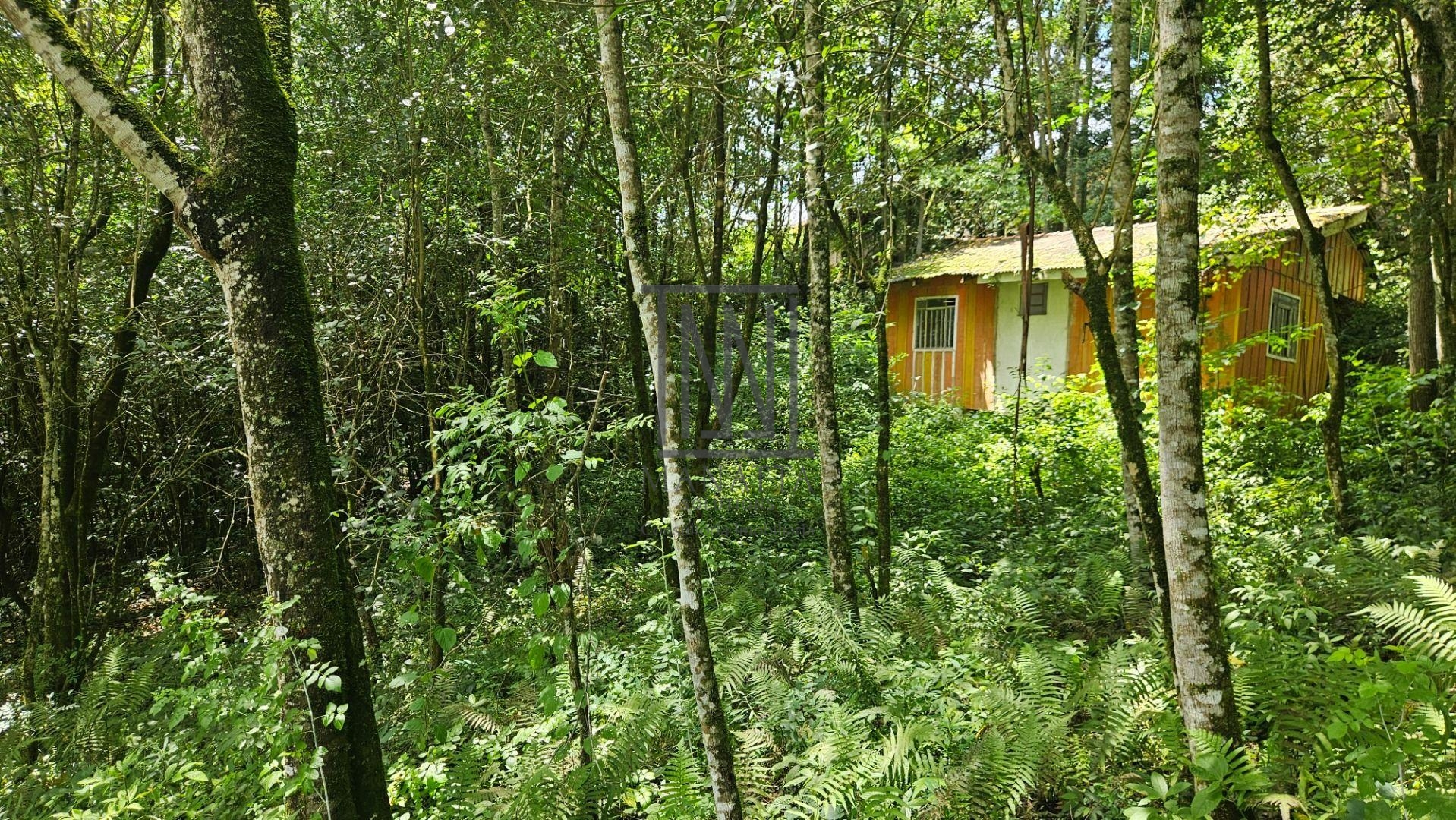 Chácara à venda, 11.000m  por R  980.000,00 São Miguel, ALMIRA...