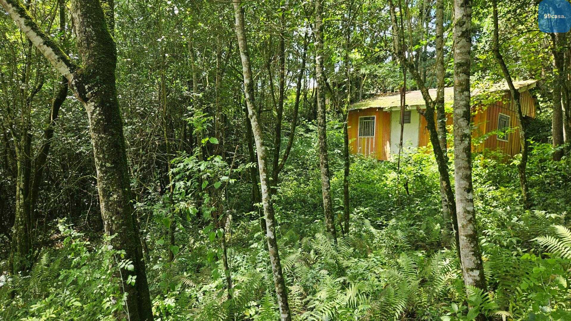 Chácara à venda, por R  980.000,00 São Miguel, ALMIRANTE TAMAN...