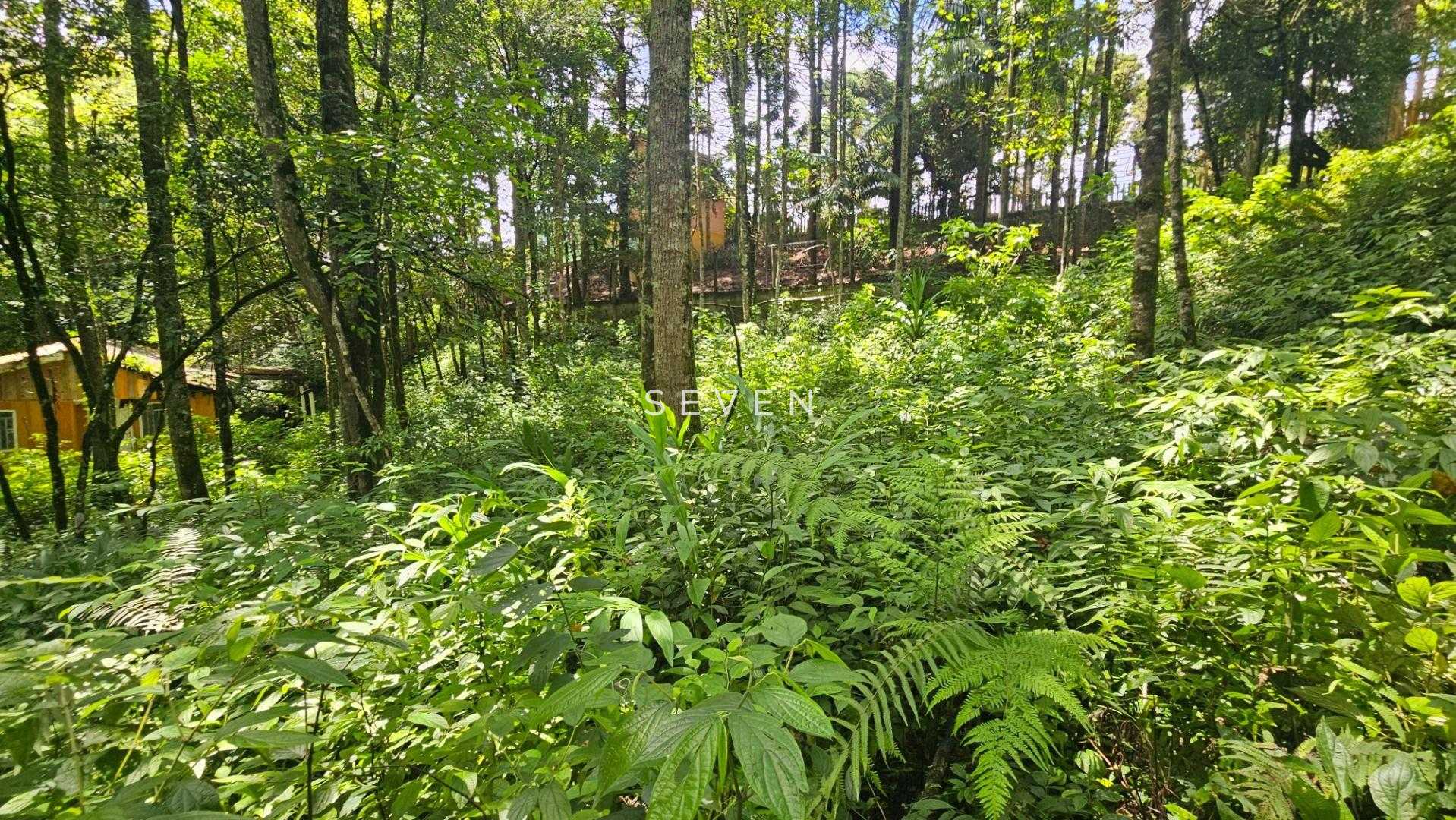 Terreno à venda,11.000m   por R  980.000,00 São Miguel, ALMIRA...