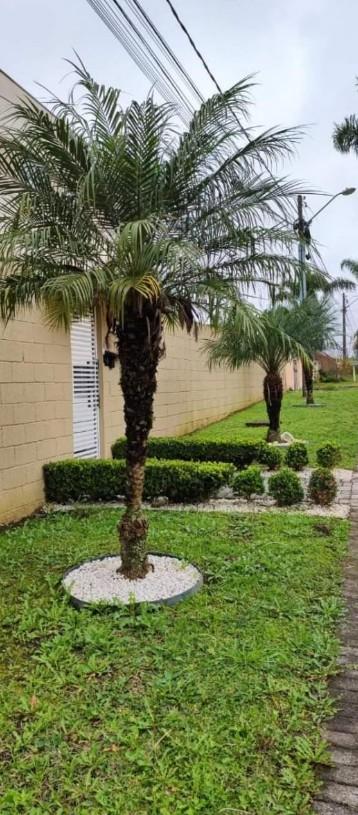 Apartamento com 2 dormitórios à venda,57.25 m , santa cândida,...