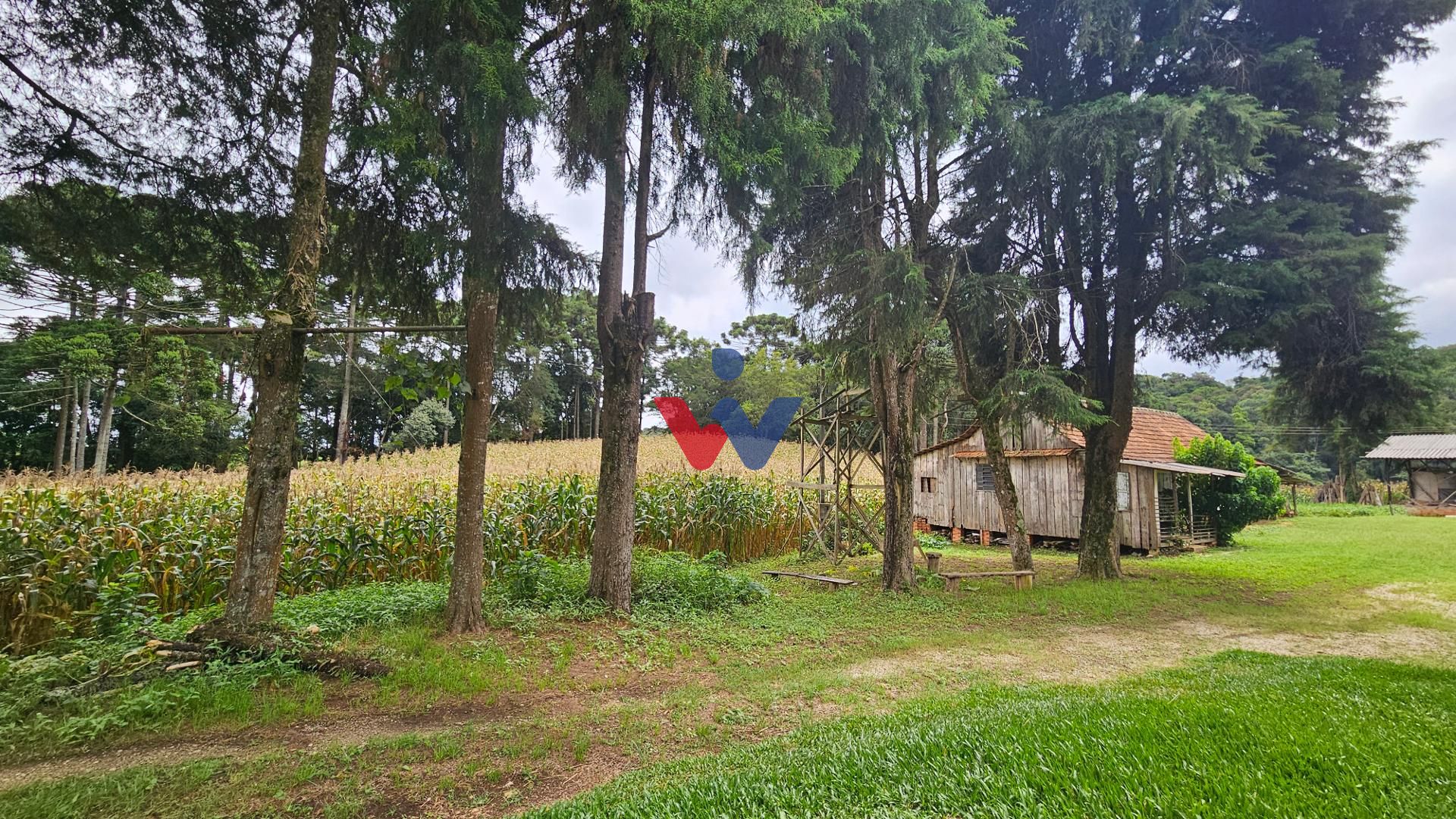 Chácara com 21600m à venda, por R  650.000,00, a 800m do asfal...