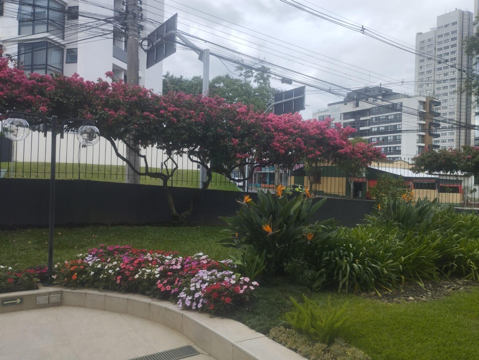 Apartamento com 3 dormitórios à venda, alto da glória, CURITIB...
