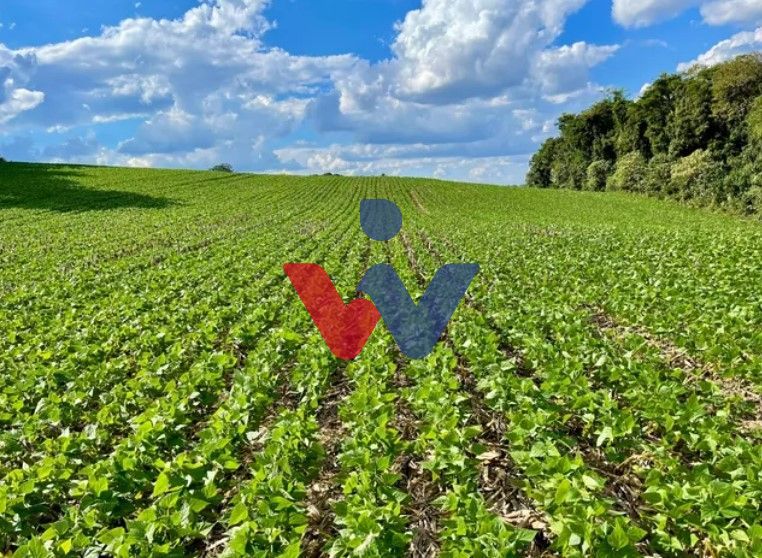 Chácara à venda, 23600 m  por R  649.000,00 - Barigui - Araucá...