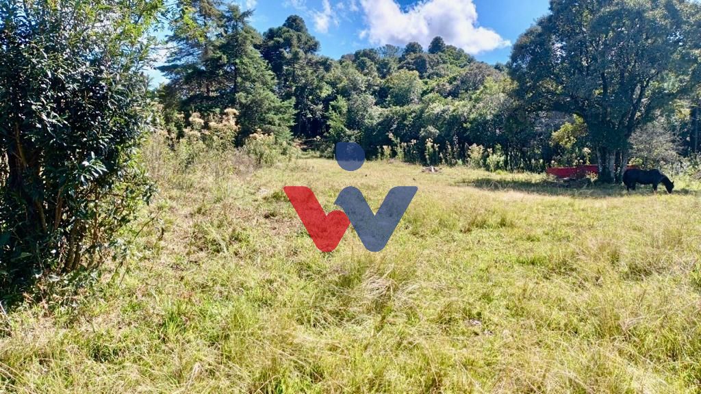 Chácara à venda, 22290 m  por R  350.000,00 - Zona Rural  Bugr...