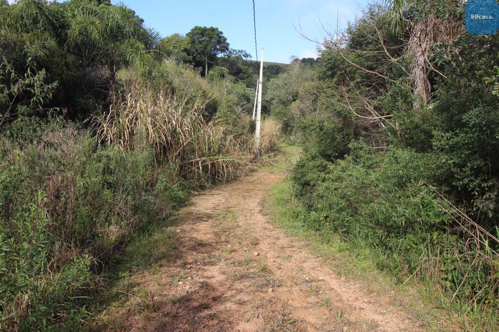 Chácara em Quitandinha Lapa