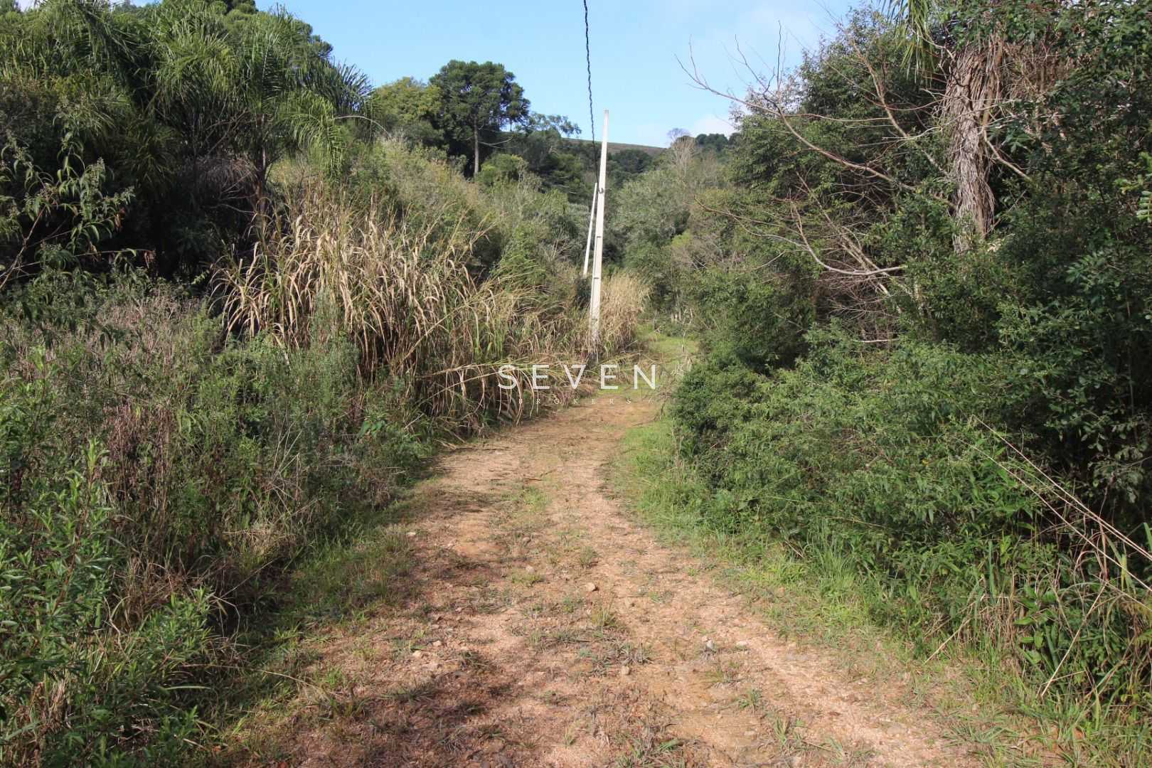 Chácara em Quitandinha Lapa
