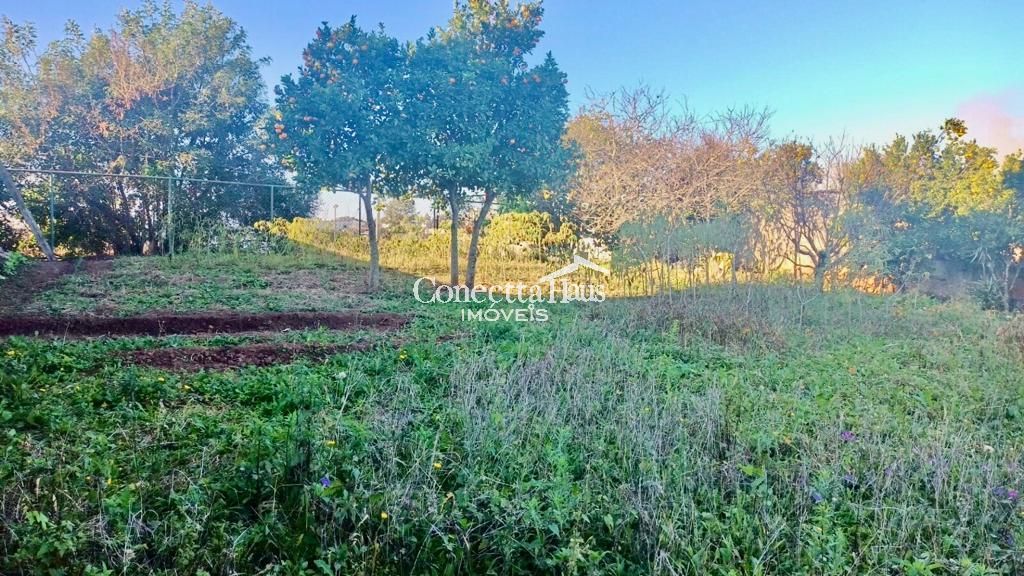 Terreno à venda, 365 m  por R  430.000,00 - Capela Velha - Ara...