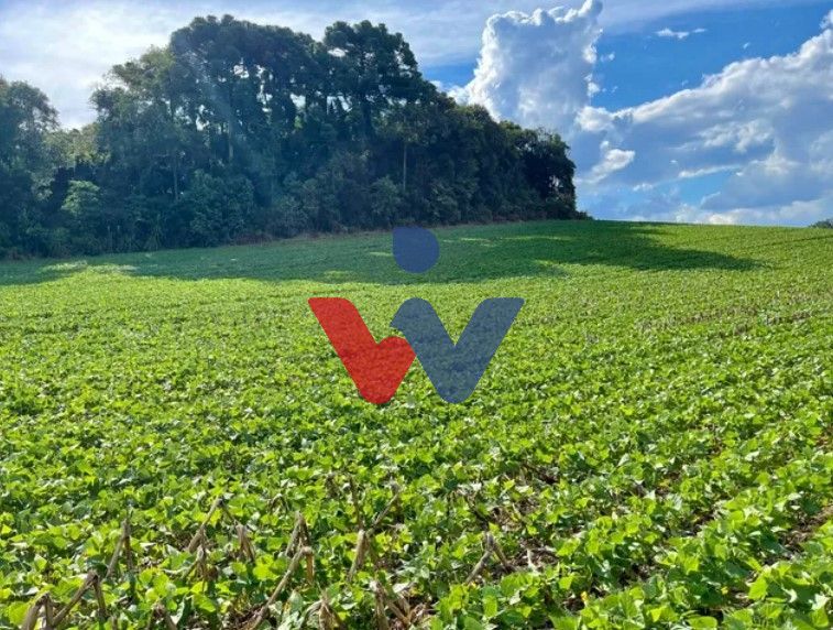 Chácara à venda, 23600 m  por R  649.000,00 - Barigui - Araucá...