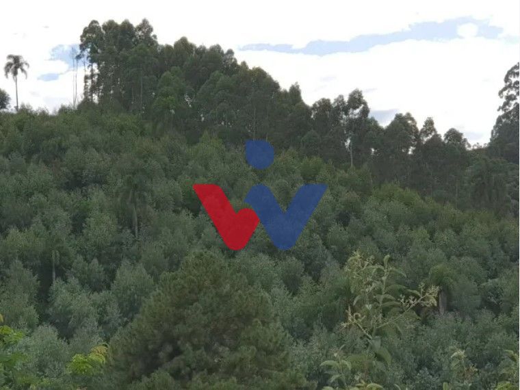 Chácara com 2 dormitórios à venda, 48400 m  por R  635.000,00 ...