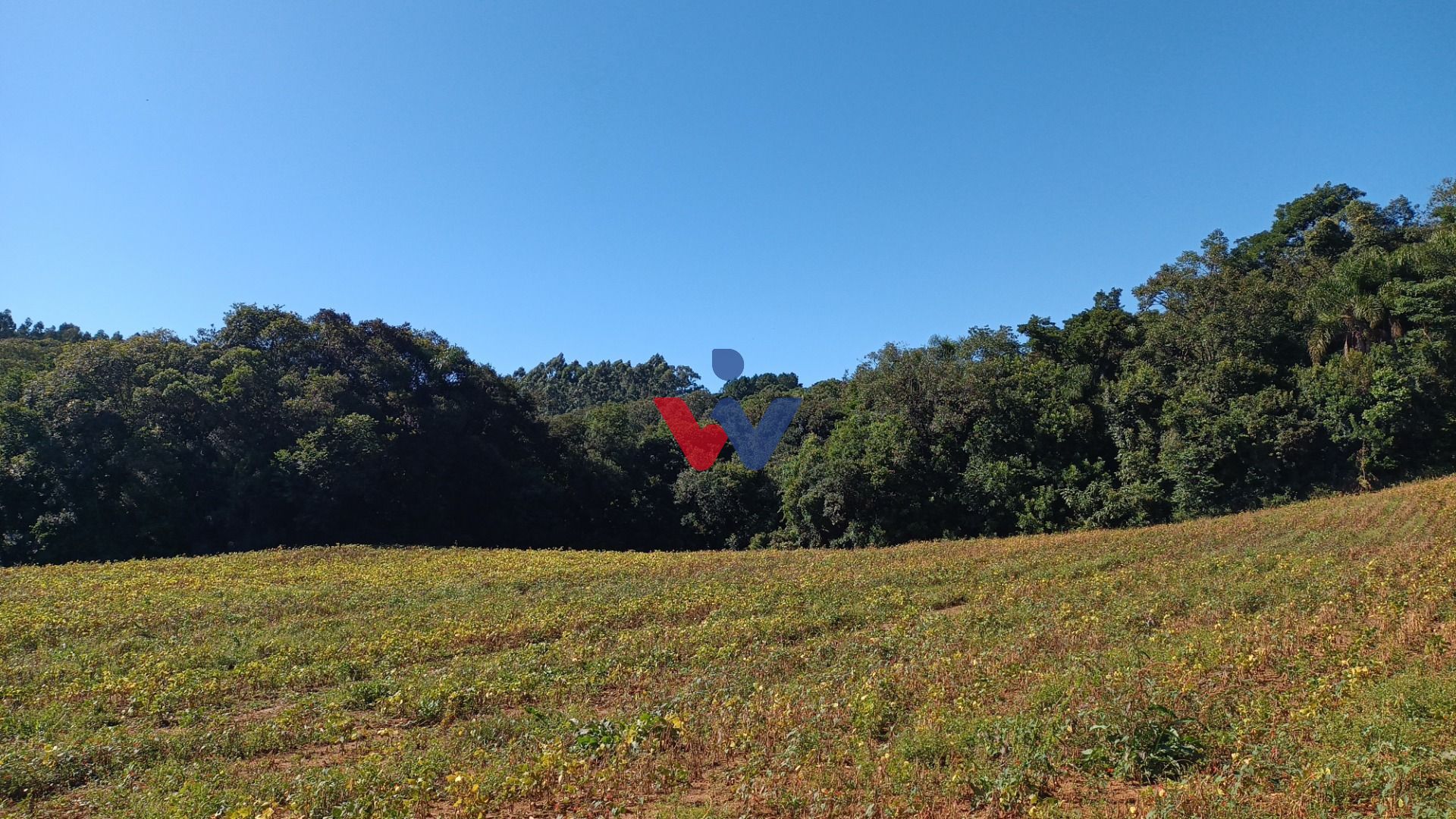 Chácara à venda, 23482 m  por R  500.000,00 - Zona Rural - Ara...