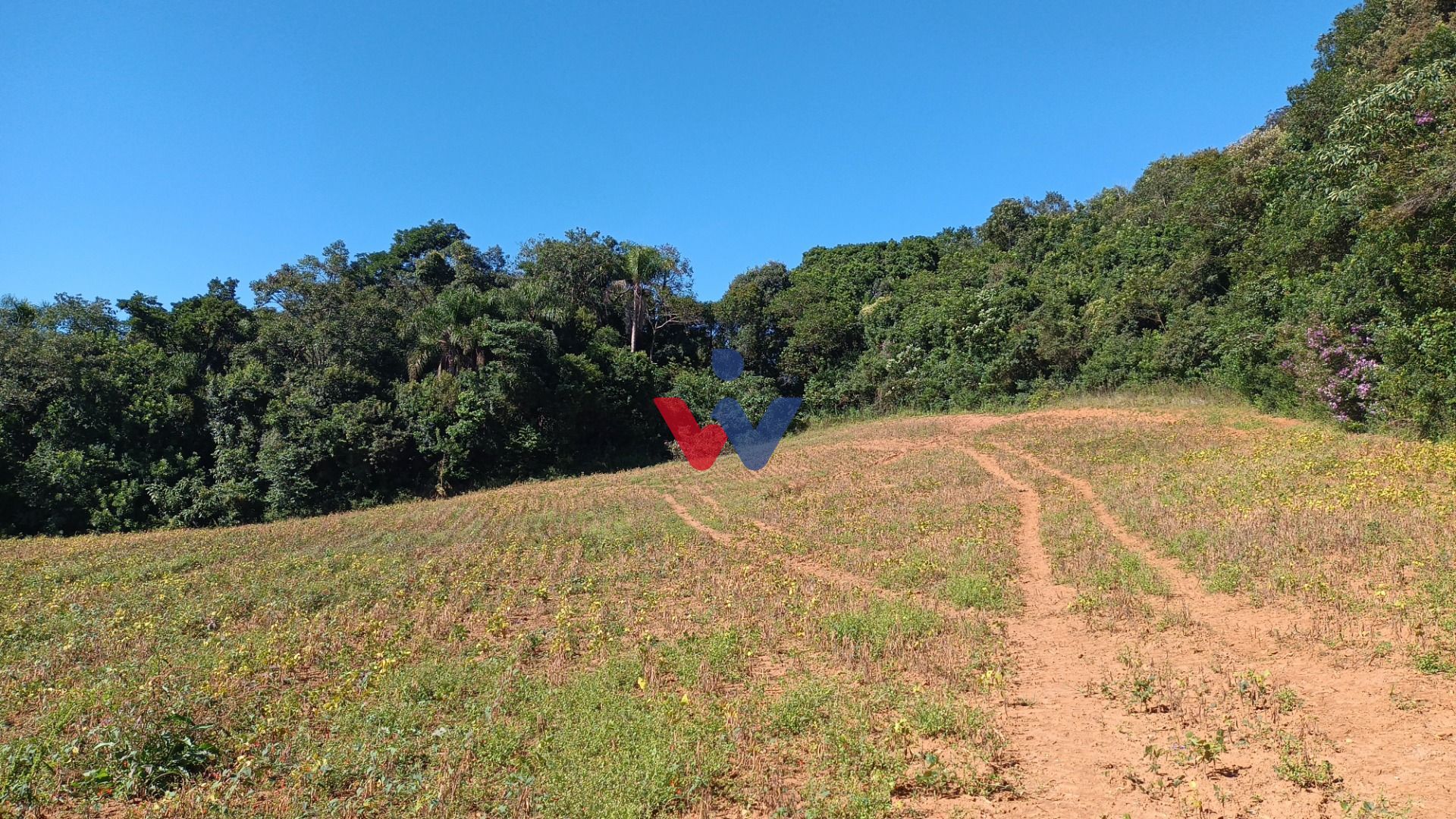 Chácara à venda, 23482 m  por R  500.000,00 - Zona Rural - Ara...