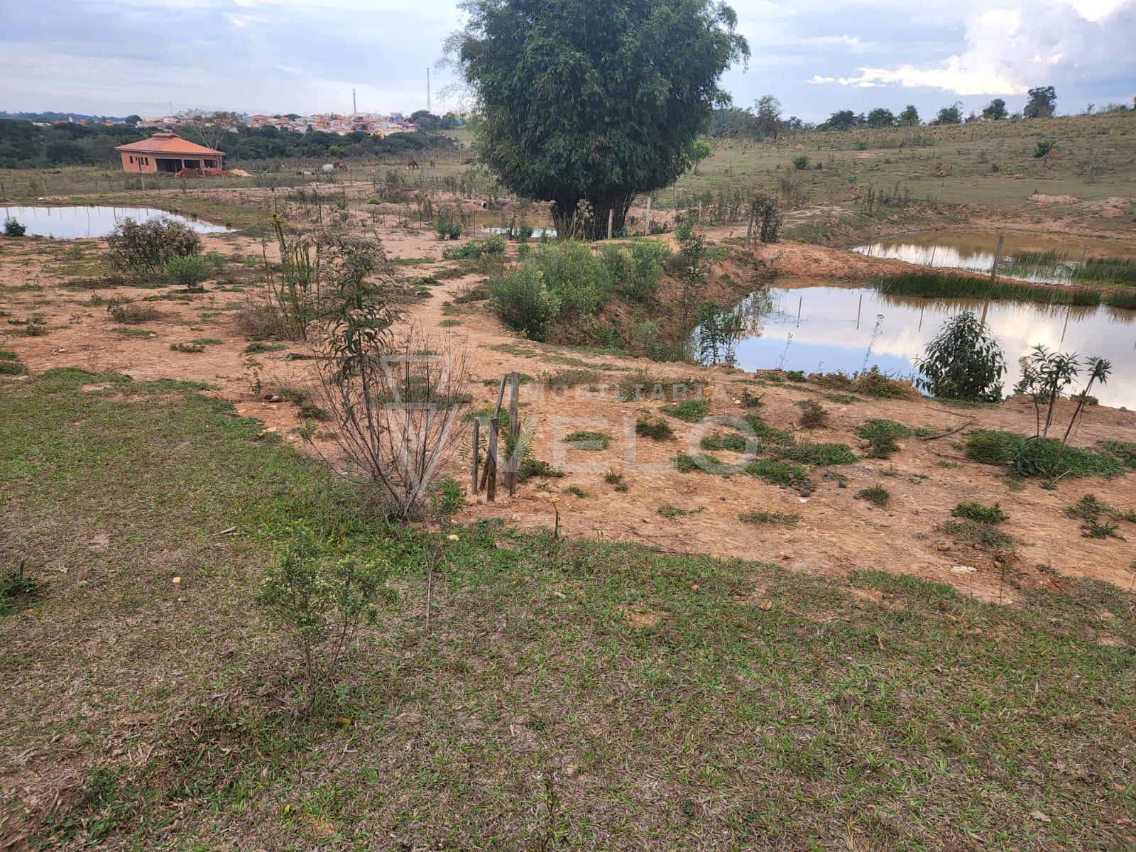 Fazenda à venda com 2 quartos, 8000m² - Foto 5