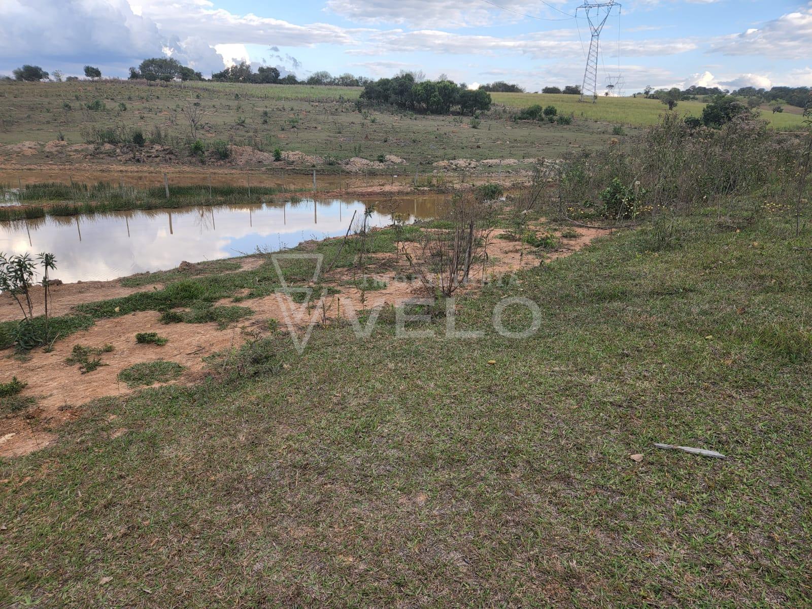 Fazenda à venda com 2 quartos, 8000m² - Foto 6