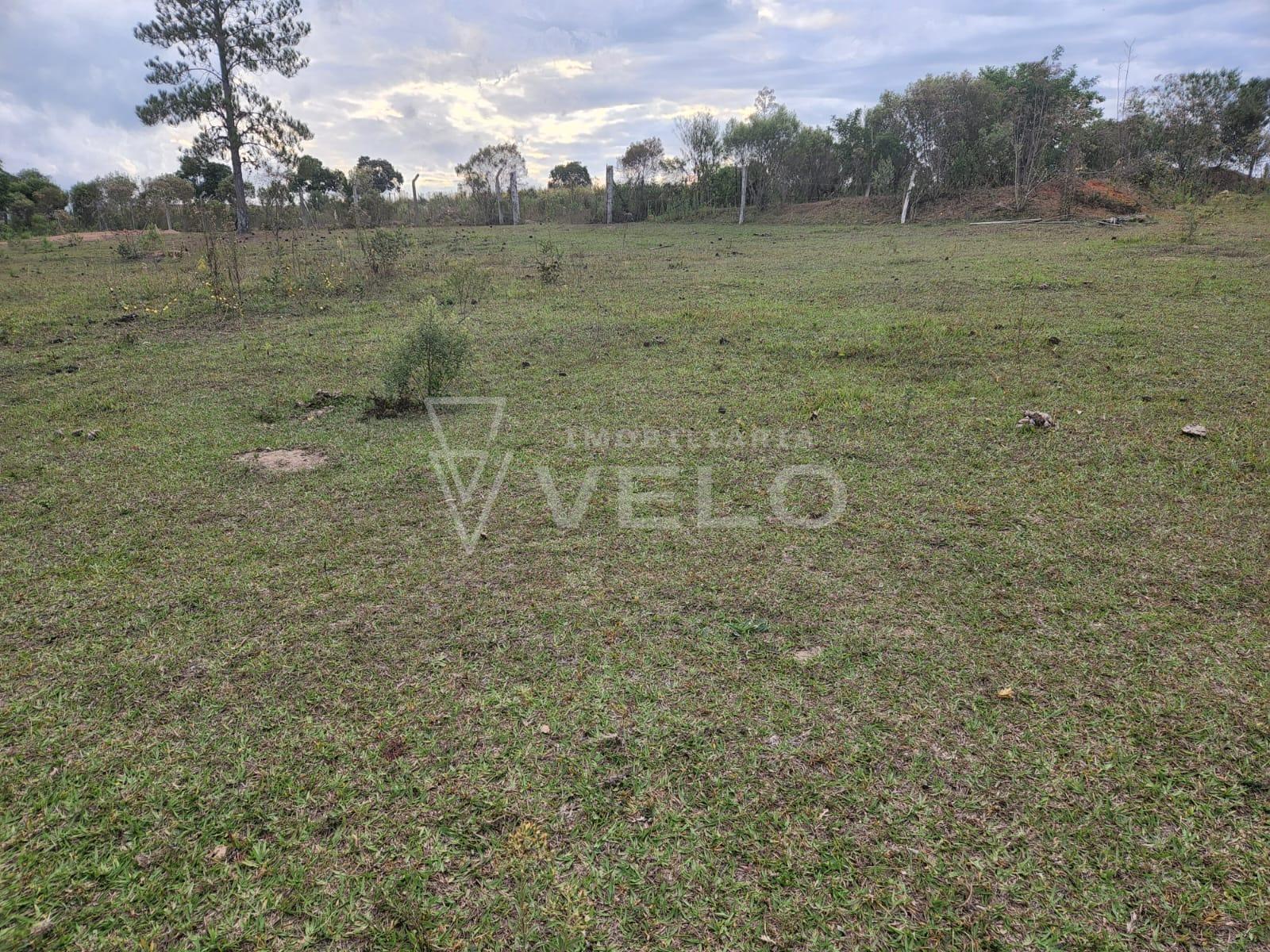 Fazenda à venda com 2 quartos, 8000m² - Foto 7