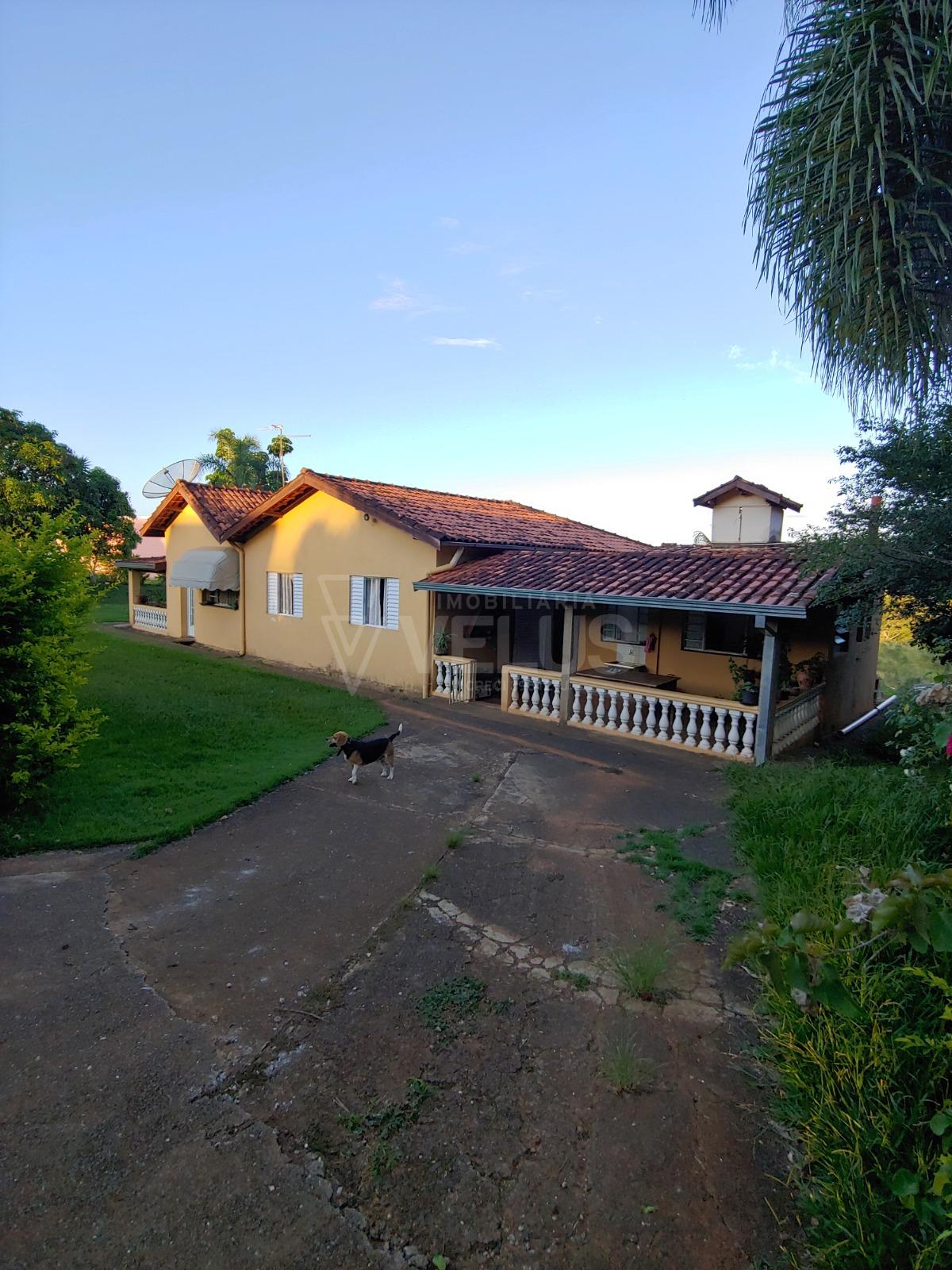 Fazenda à venda com 3 quartos, 350m² - Foto 7