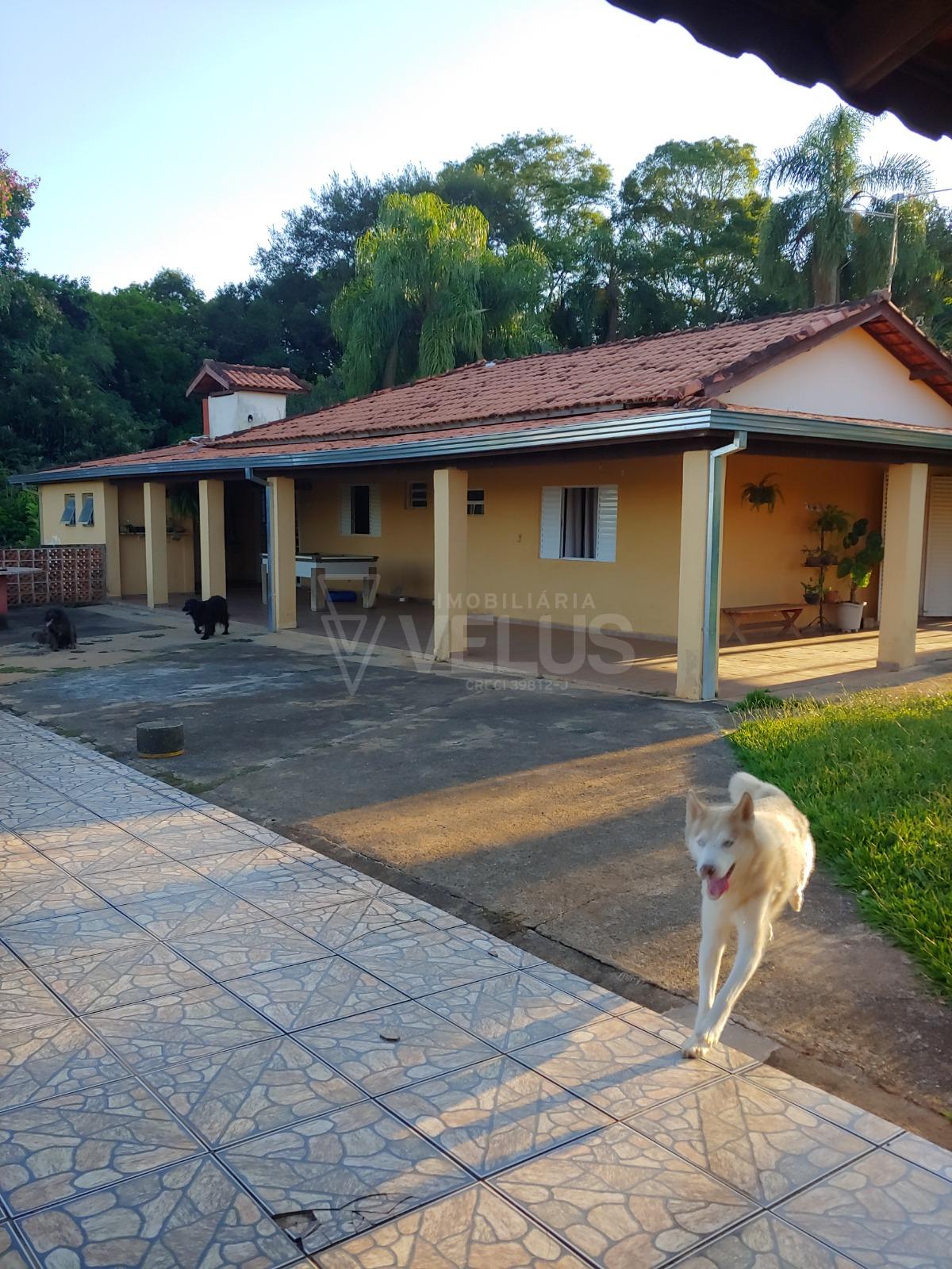 Fazenda à venda com 3 quartos, 350m² - Foto 12