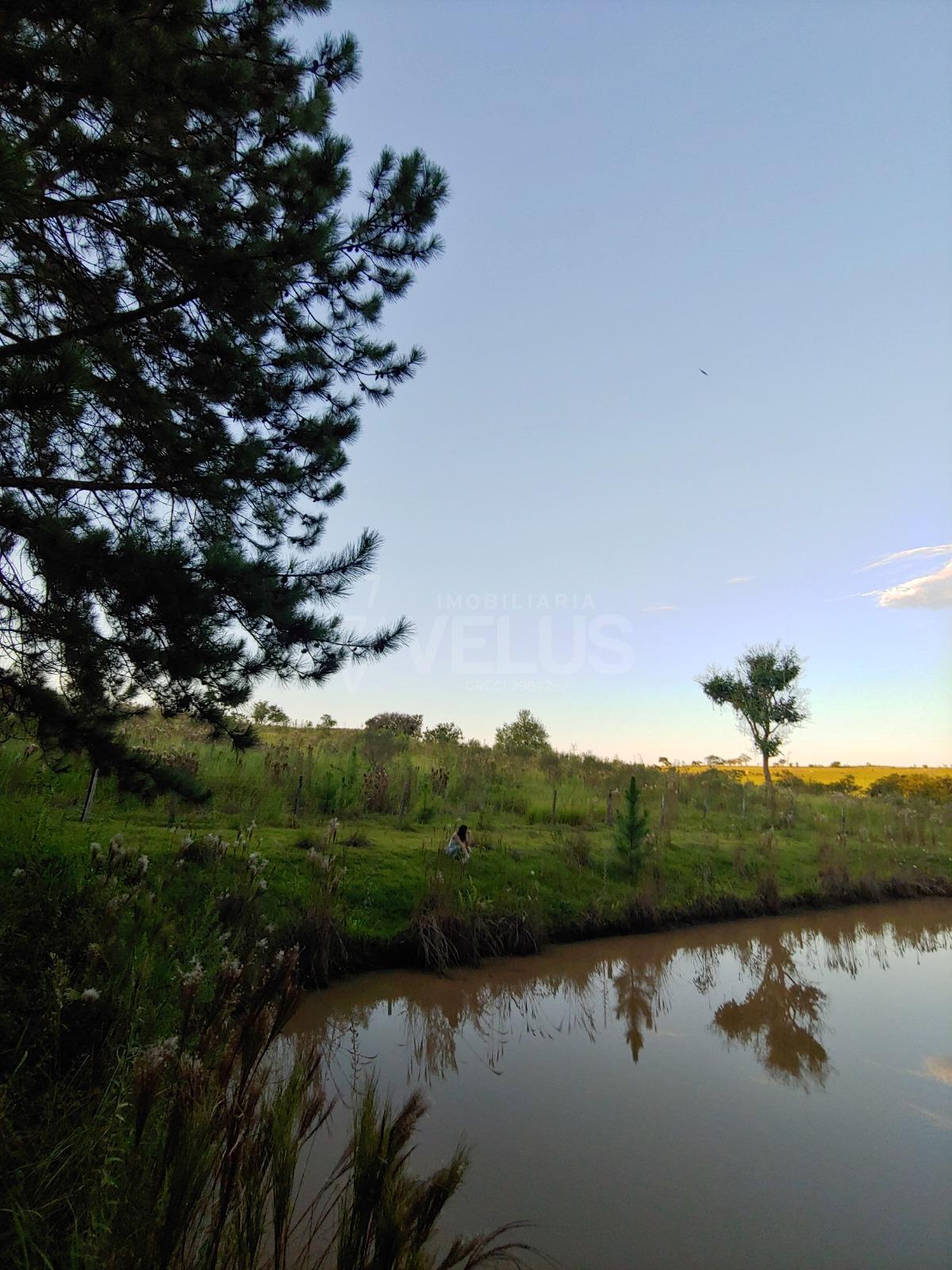 Fazenda à venda com 3 quartos, 350m² - Foto 40