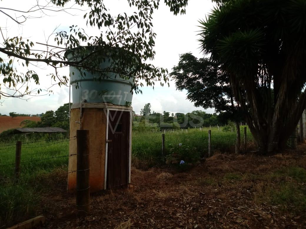 Fazenda à venda com 3 quartos, 350m² - Foto 48