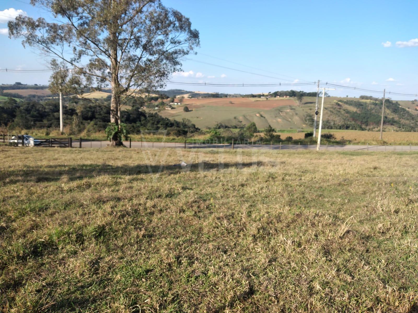 Fazenda-Sítio-Chácara, 24 hectares - Foto 4