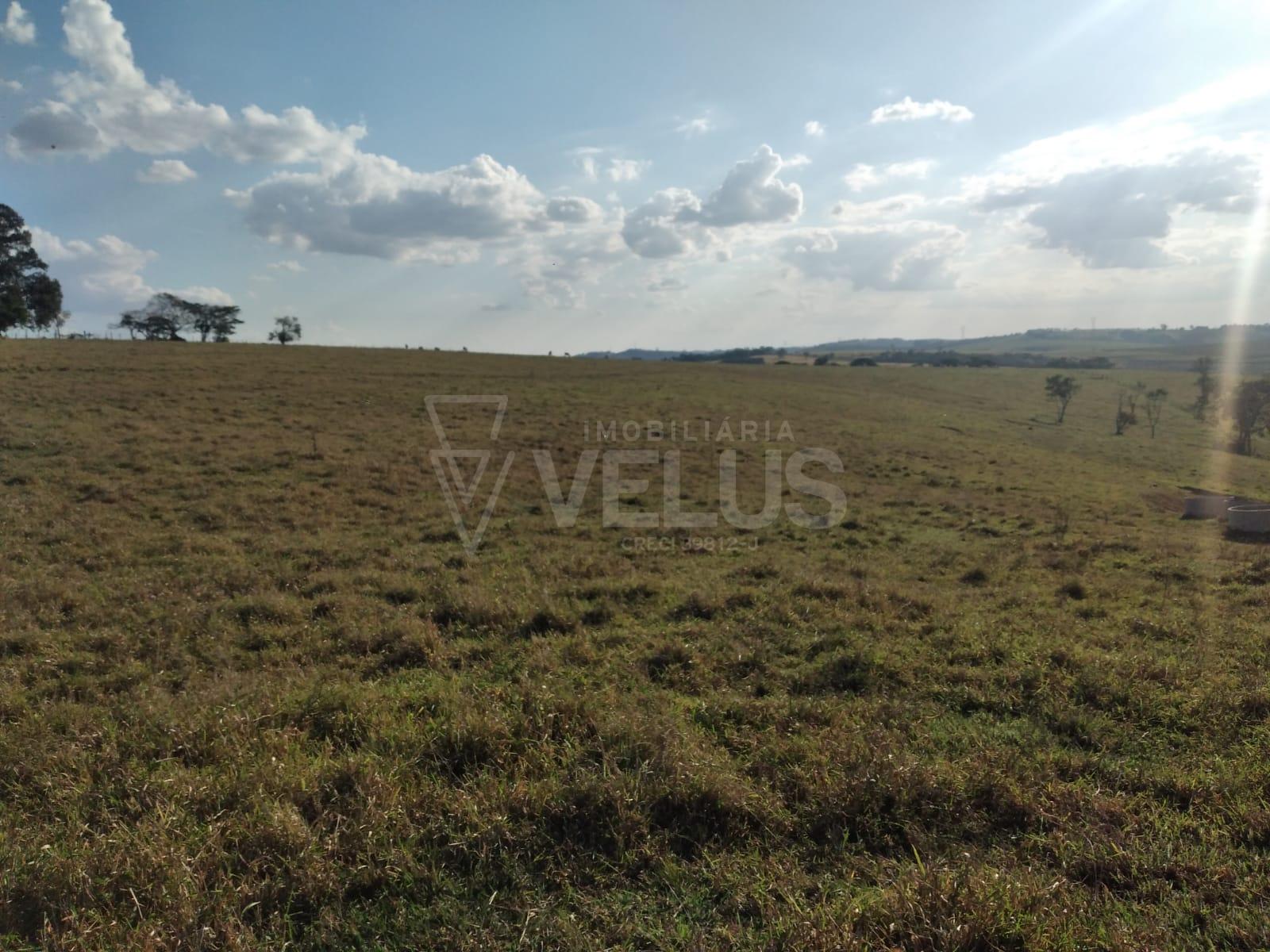 Fazenda à venda, 242000m² - Foto 5