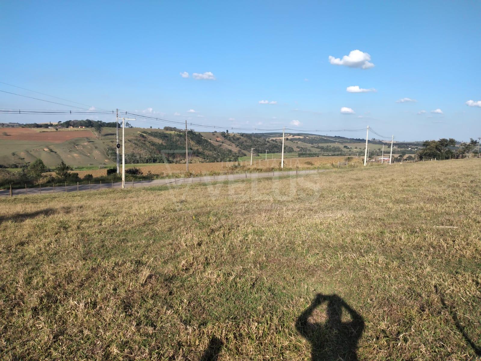 Fazenda à venda, 242000m² - Foto 10