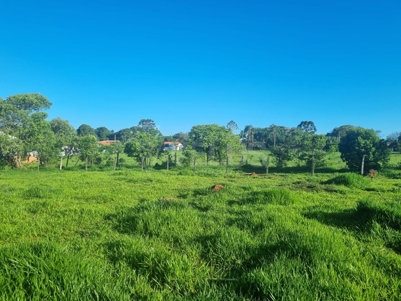 Terreno à venda, 13000m² - Foto 3