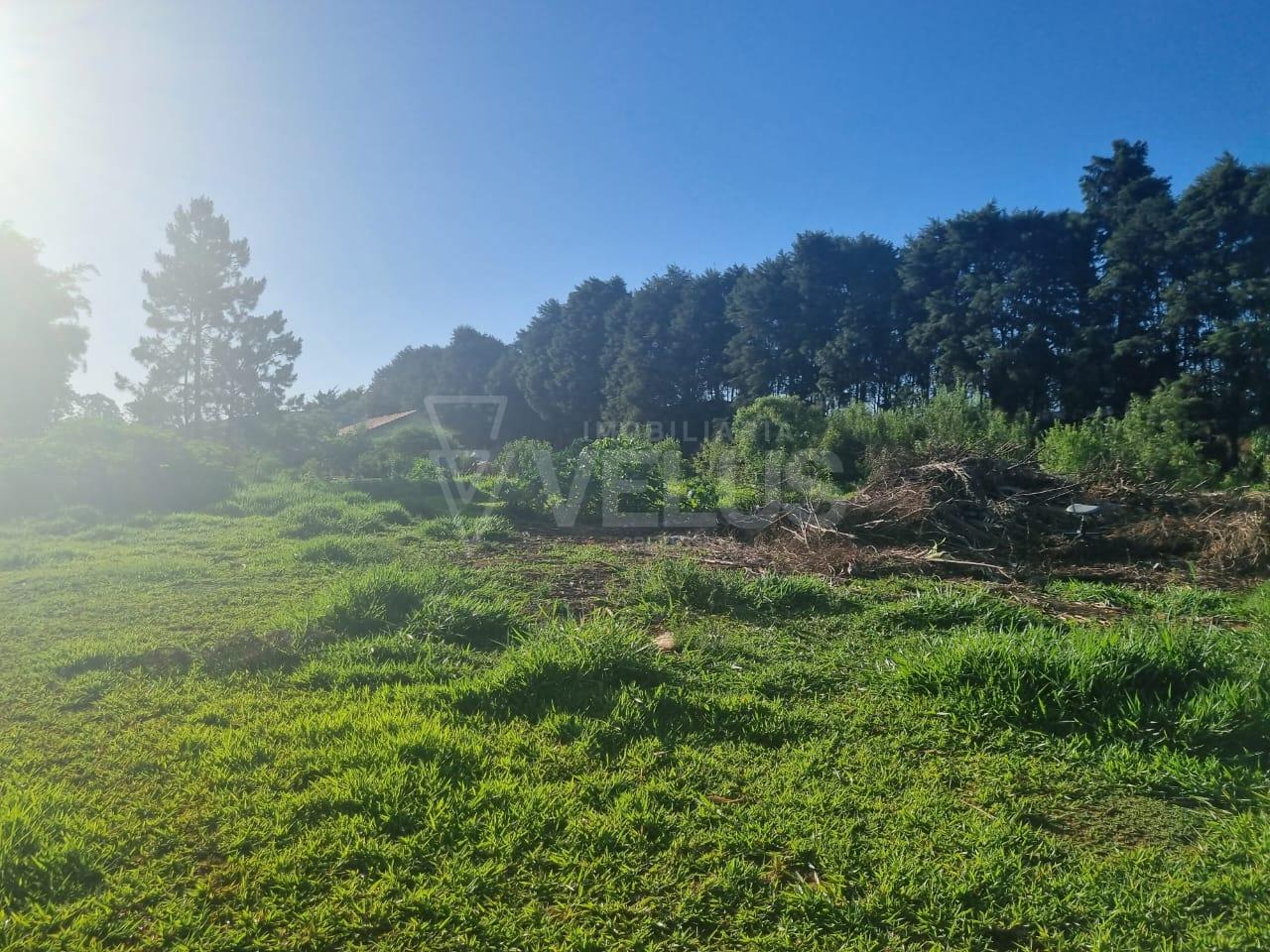 Terreno à venda, 13000m² - Foto 4