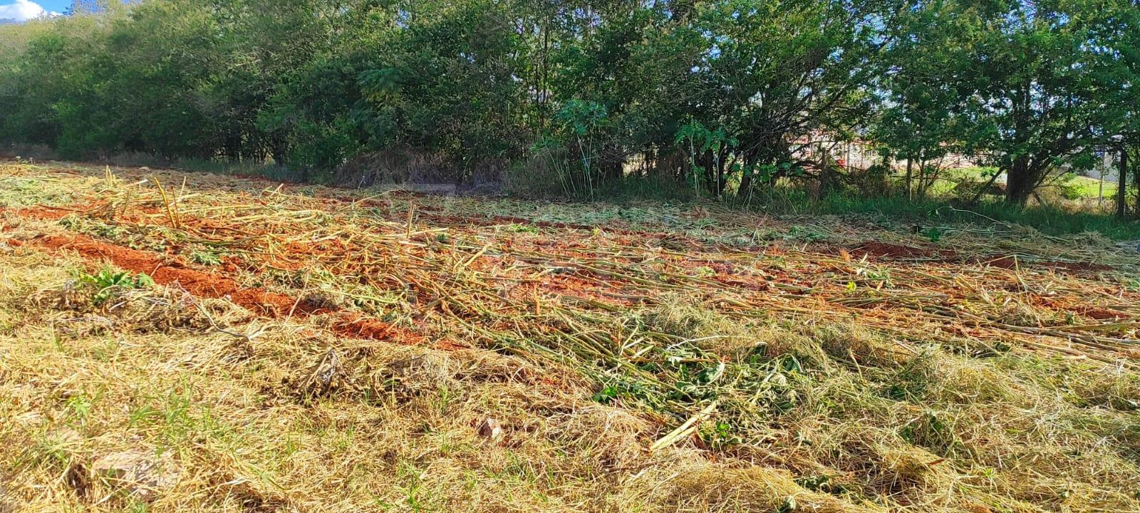 Terreno à venda, 150m² - Foto 3