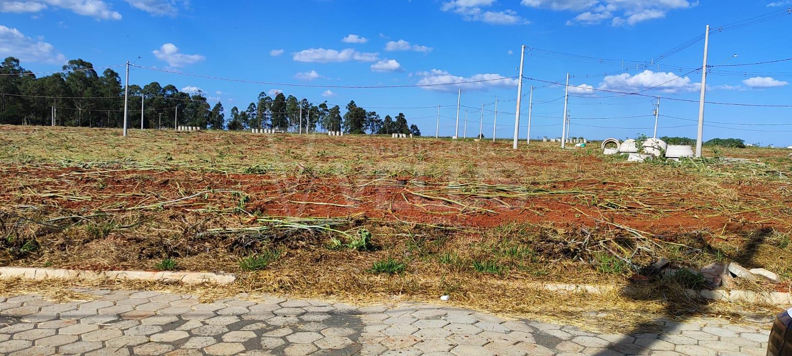 Terreno à venda, 150m² - Foto 4