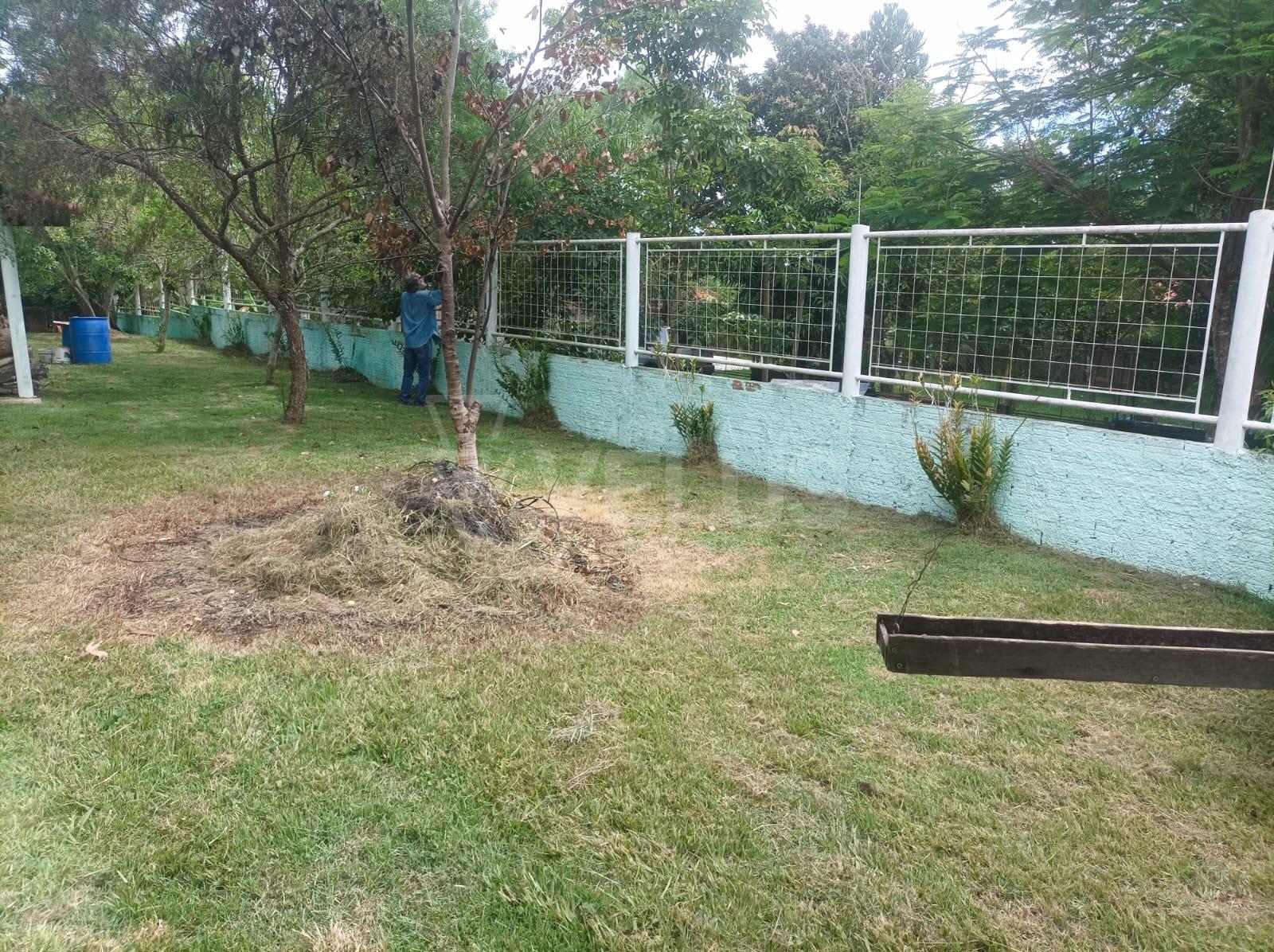 Fazenda à venda com 3 quartos, 185m² - Foto 3