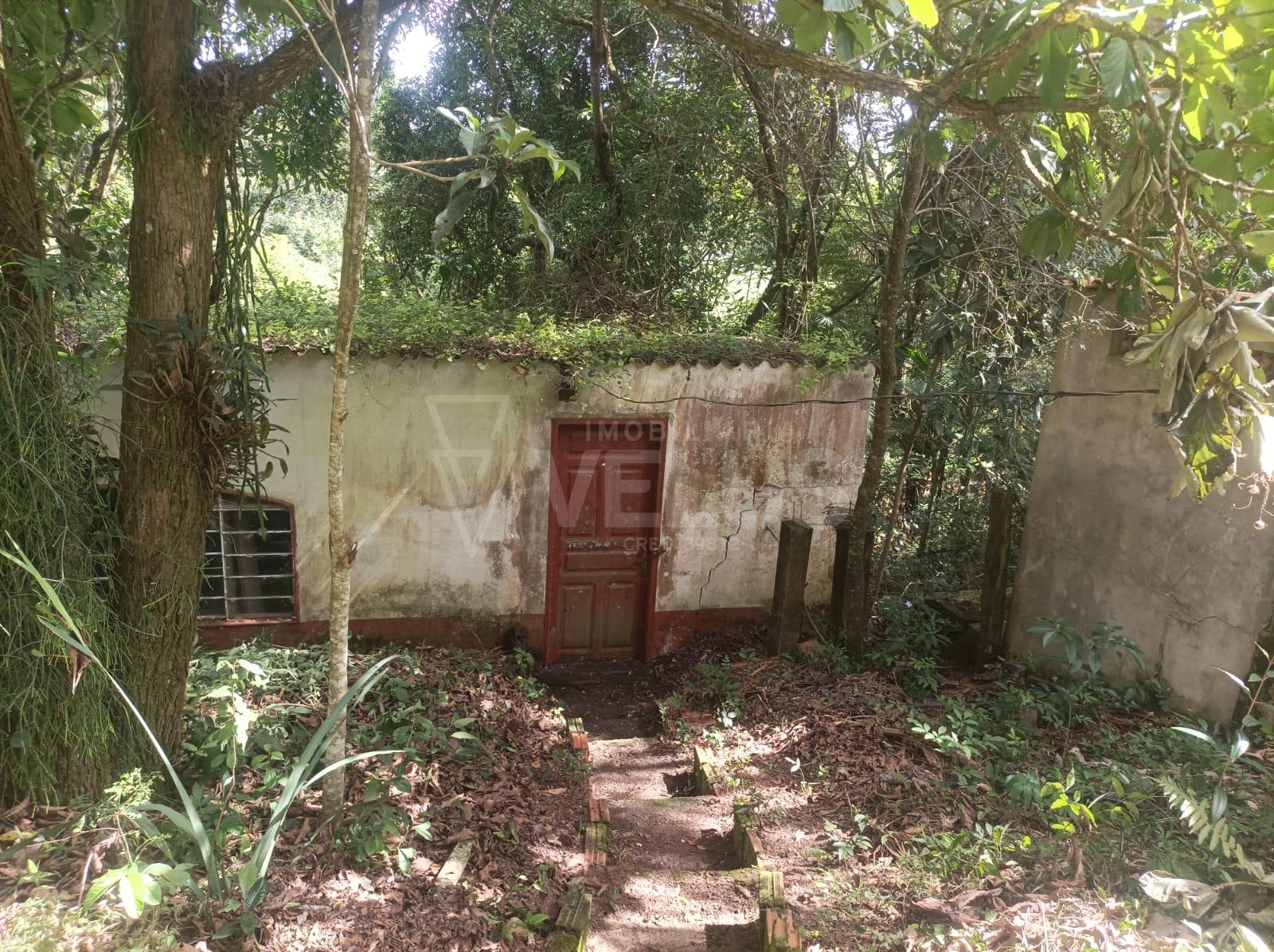 Fazenda à venda com 3 quartos, 185m² - Foto 19