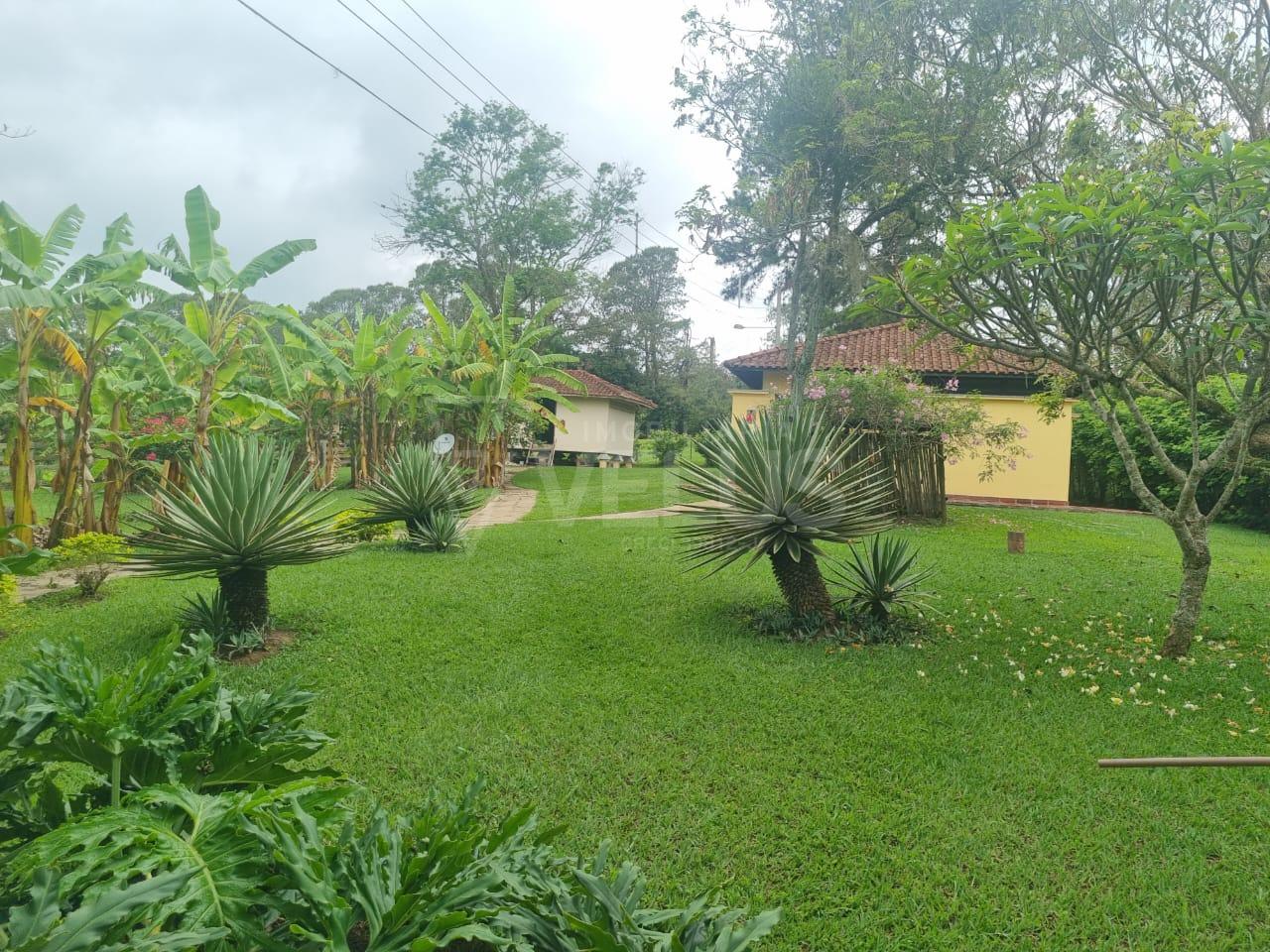 Fazenda à venda com 5 quartos - Foto 3