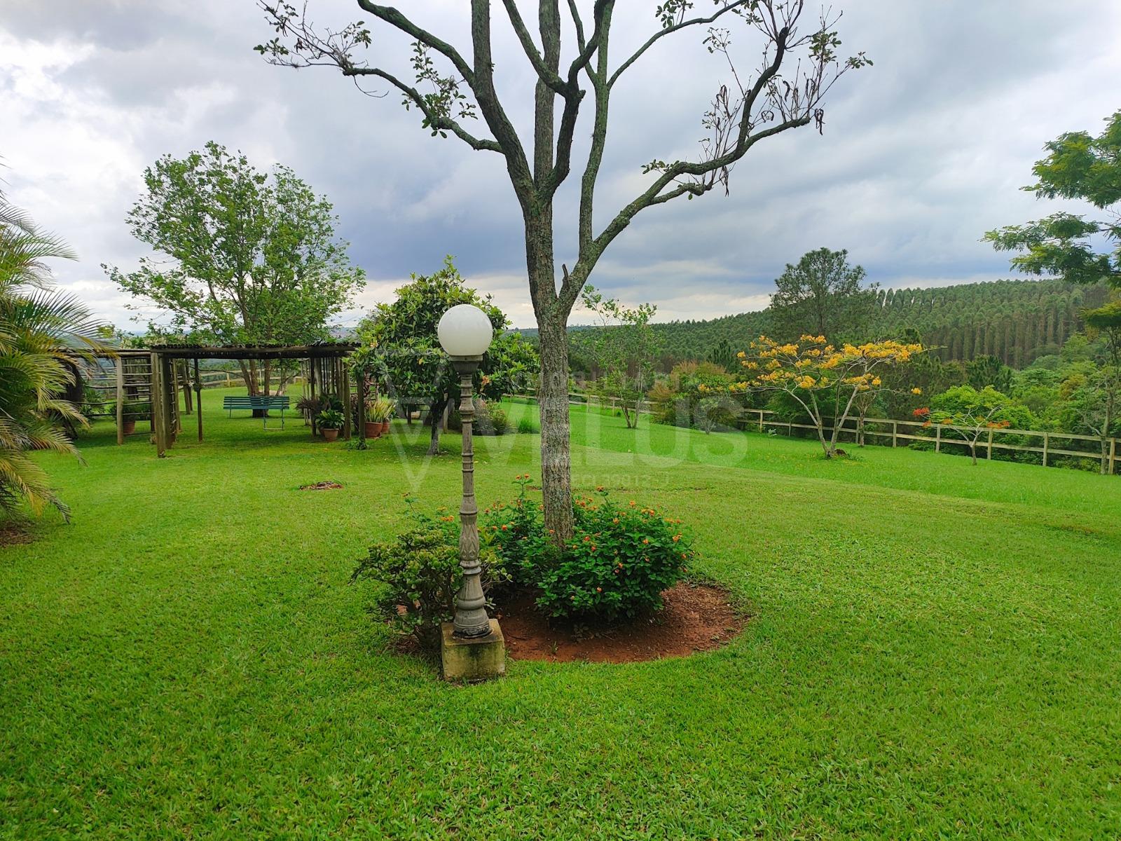 Fazenda à venda com 5 quartos - Foto 42