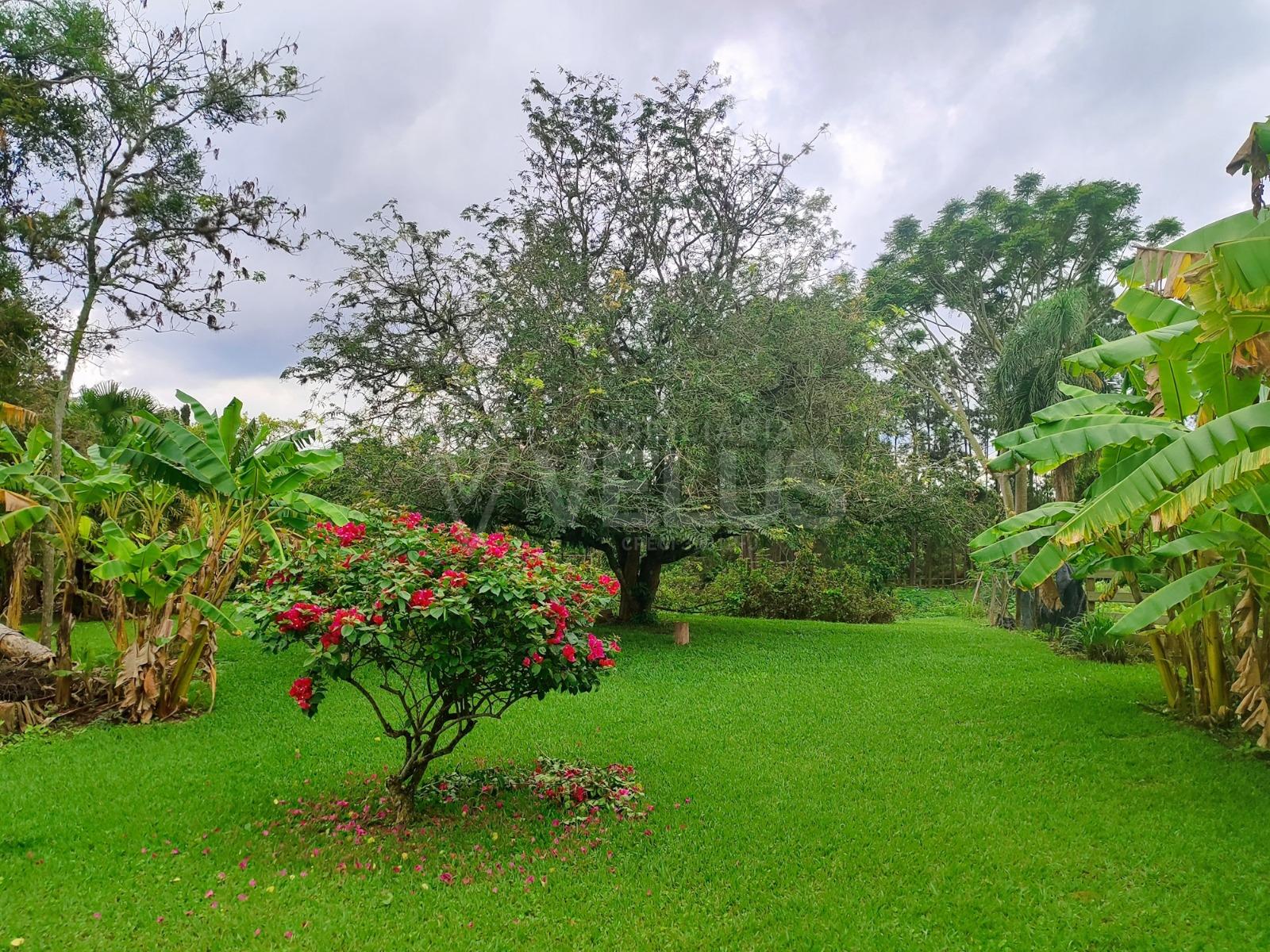 Fazenda à venda com 5 quartos - Foto 44