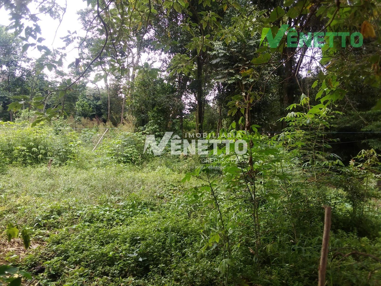 Terreno a venda Linha Pesqueiro de cima em Xanxerê